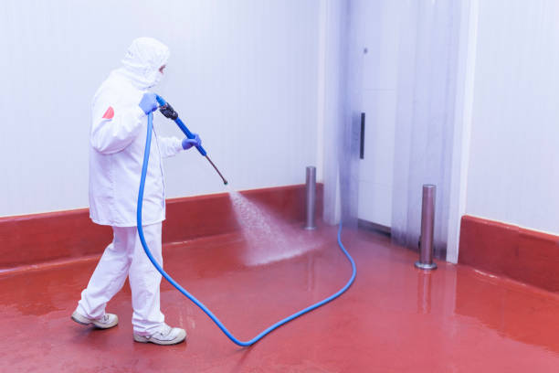 Best Brick and Stone Cleaning in Mcnary, AZ